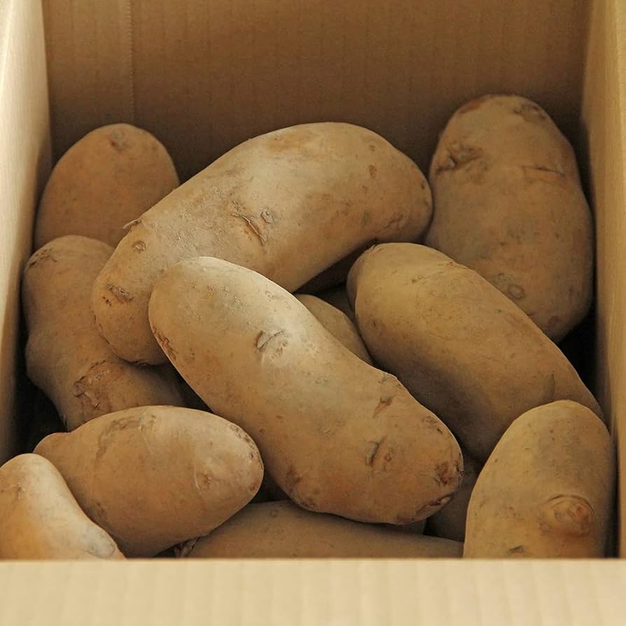 メーク　ジャガイモ　訳あり　04 Amazon.co.jp: 訳あり じゃがいも じゃがいも メークイン ポテト